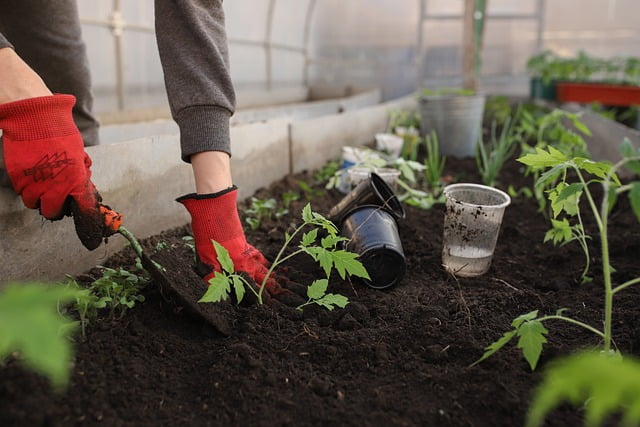 Tuinman in Haarlemmermeer