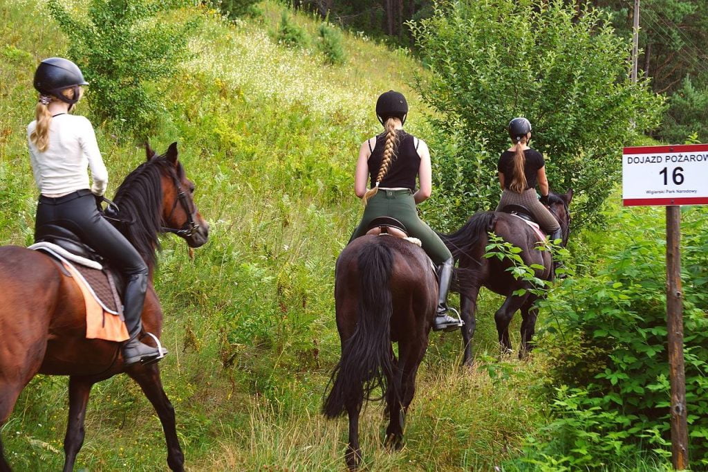 Manege in Haarlemmermeer