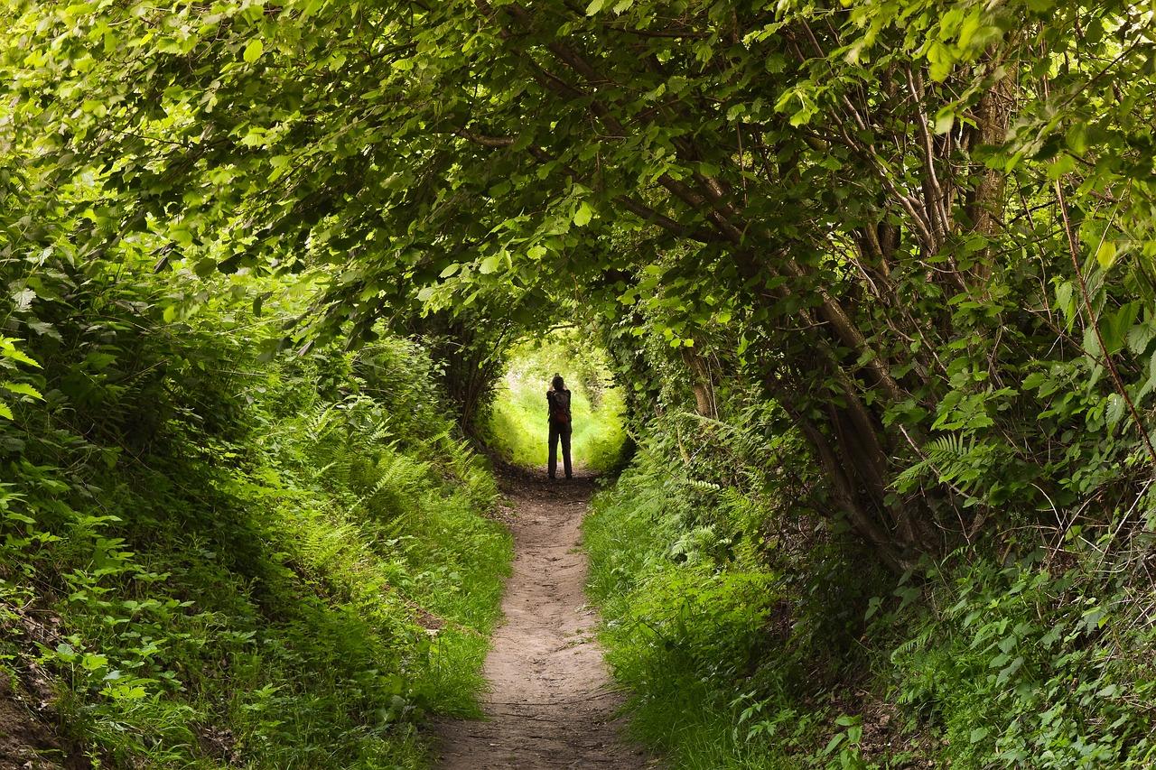Wandelroutes in Haarlemmermeer